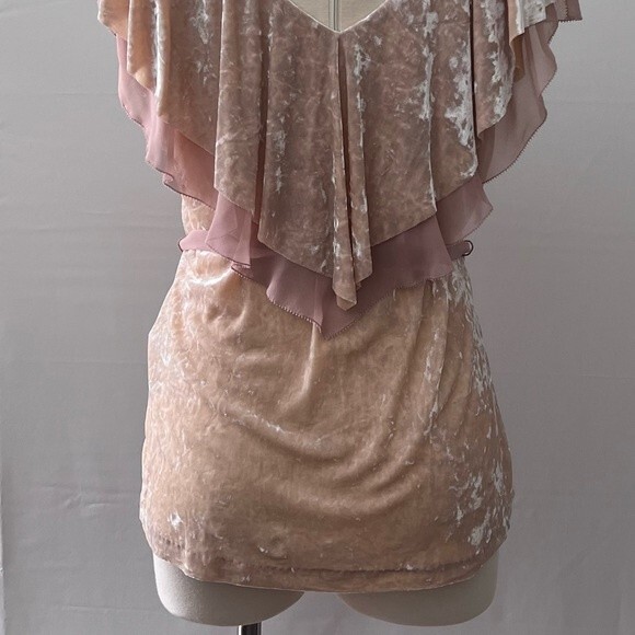 WHBM Pink Velvet Flounce Belted Top Size Medium Style 570216298 Fairycore - Picture 7 of 12